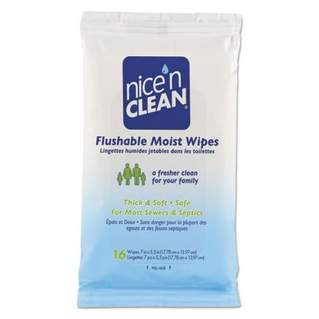 Nice N' Clean Moist Toilet Tissue, 7 x 5 1/2, Blue, 16/Pack, 24 Packs/Carton
