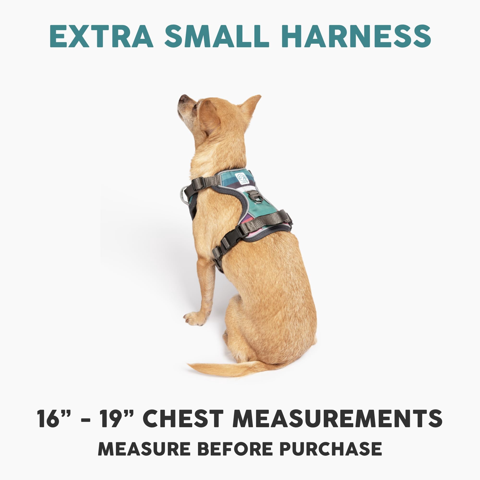 Embark Adventure Dog Harness For Small  Medium & Large Dogs - No Pull Reflective Trim Heavy Duty Oxford 2 Leash Clips Gel-lined Handle Soft Padded