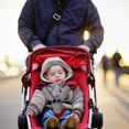 thumbnail image 3 of Juego de fundas de correas para sillas altas de coche Stroller Shakven Baby, 3 of 9