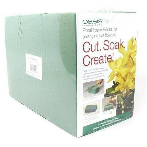 Oasis® Pack of 6 Standard Floral Foam Bricks