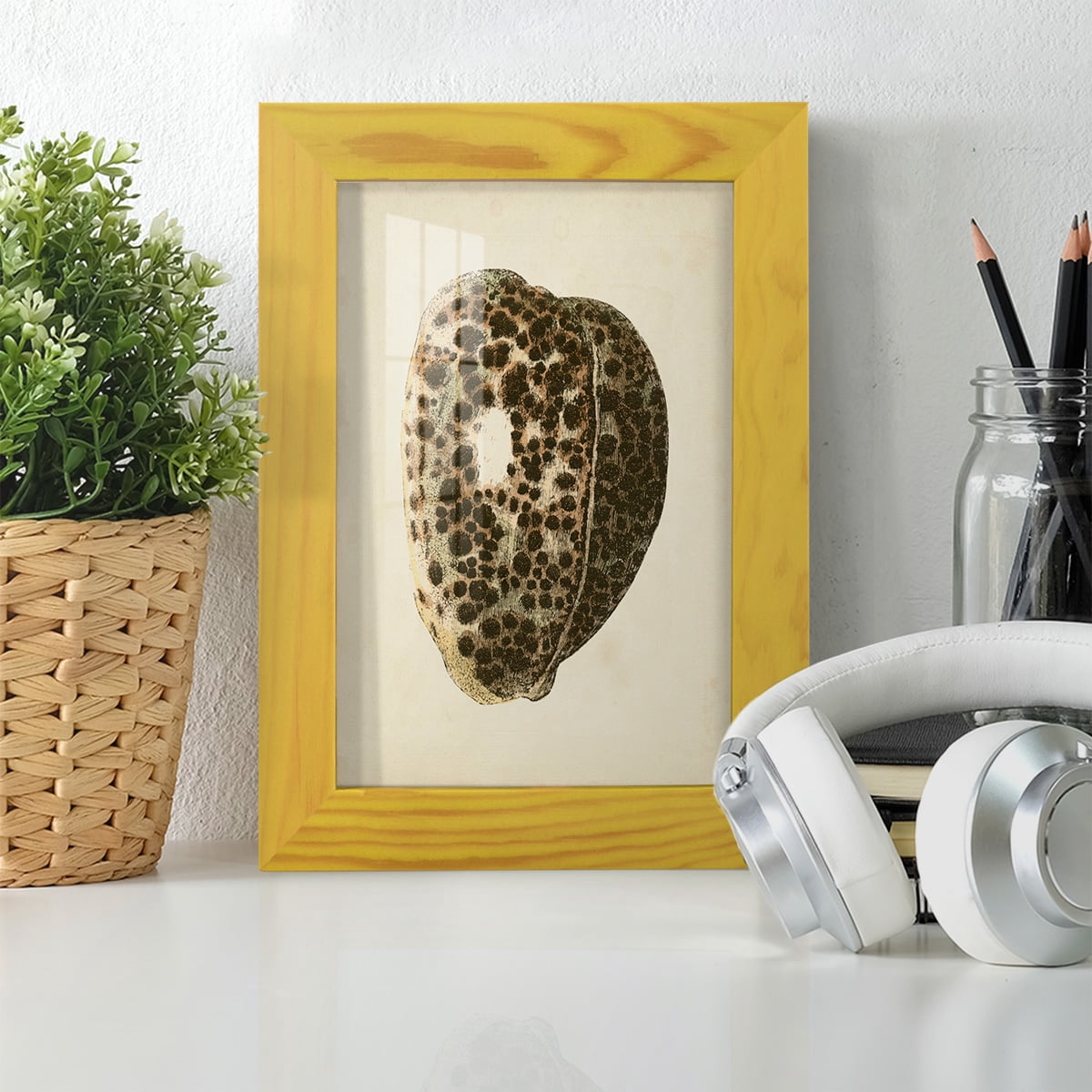 Sealife Collection III - Framed Print w/glass - Sunflower Yellow
