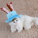 thumbnail image 4 of Gorro de fiesta de cumpleaños para mascotas con velas de colores para perros, gatos y animales pequeños (azul) - Adorno para pastel de cumpleaños para perros y gatos, 4 of 5