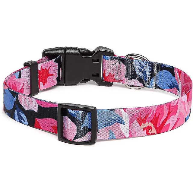 Collar de perro con patrón moderno y hebilla de liberación rápida, collar de nailon ajustable clásico