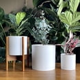 thumbnail image 3 of 10 Inch 12 Inch 14 Inch, Set of 3 Plastic Planter Pots for Plants with Drainage Hole and Seamless Saucers, White Color, XX-Large, 3 of 7