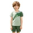thumbnail image 4 of Baby Boy Outfits Cartoon Print Short Sleeve Crew Neck T-Shirt Top And Shorts 2 Piece Daily Wear Baby Boys' Clothing Sets Size 12-24 Months, 4 of 8