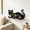 Black A, variant on Naittoop Gothic Cat Shaped Floating Shelf Wooden Wall Mounted Storage Rack for Crystals and Collectibles Decorative Display Shelf for Bedroom Living Room Witchy Home Decor B