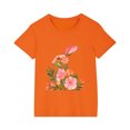 thumbnail image 3 of AUNVITO 2025 Easter Children Clothing Easter Round Neck Short Sleeved Cotton Top for Boys Girls Middle-aged and Older Children, 3 of 4