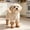 Y69 B 2#, variant on Fleece Dog Boots For Small Dogs, Winter Paw Protector With Anti-Slip Sole, Warm Dog Booties For Snow And Hardwood Floors Walking, Brown