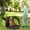Green#02, variant on Dog Bed PawHut Fully Enclosed Cat Litter Box with Scoop, Hooded Cat Litter House with Drawer Type Tray, Foldable Smell Proof Cat Potty with Front Entry, Top Exit, Portable Pet Toilet with Large Space