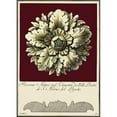 thumbnail image 3 of Guerra 14x18 Black Modern Framed Museum Art Print Titled - Rosone Antico II, 3 of 5