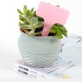 thumbnail image 4 of Plant Tag,20PCS T Shape Garden Garden Labels Garden Plant Tag Innovative Solution, 4 of 4
