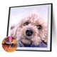 thumbnail image 2 of Pintura de diamante cuadro de cachorro de animal de diamante cuadrado Likrtyny Arte deco, 2 of 9