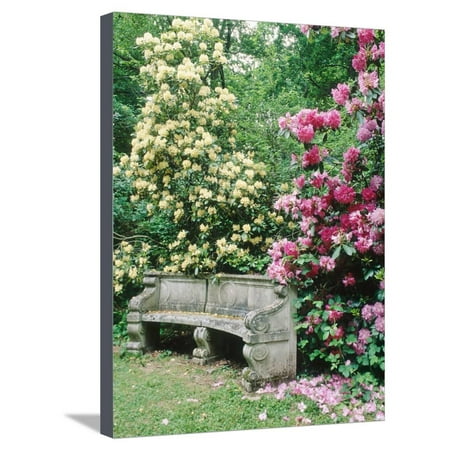 - Curved Stone Bench & Rhododendron Hybrid Pink Pearl