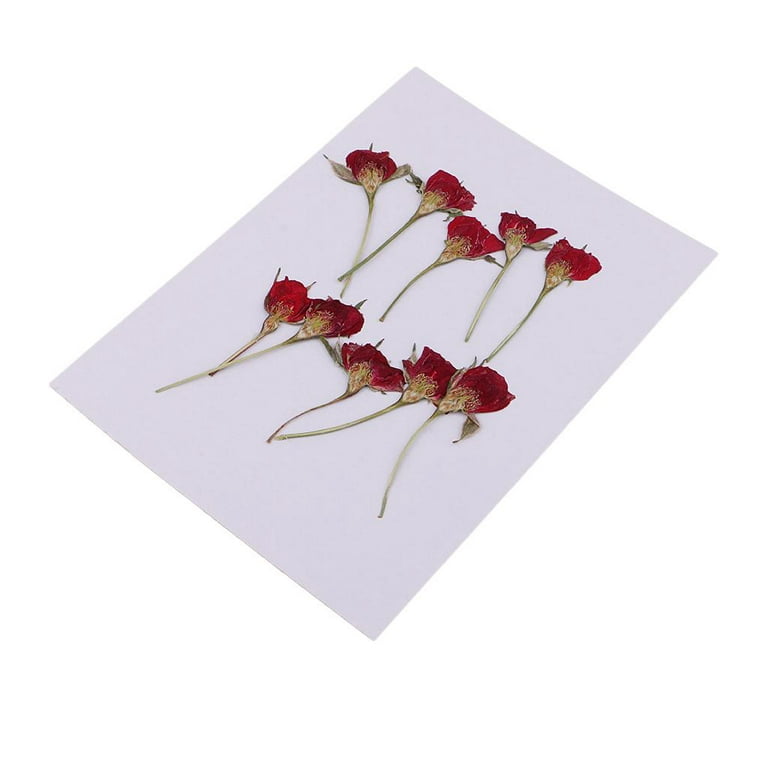  Dried Rose Flowers with Stem for Resin, 42PCS Natural Real  Pressed Rose Flowers, Dry Flowers for Resin DIY Jewellery Ornament Crafts  Candle Making Phone Case Home Decoration : Grocery & Gourmet