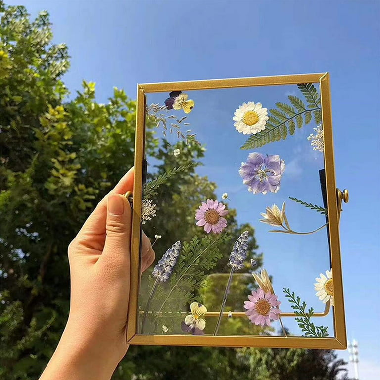 Egebert Wall Hanging Glass Frame for Pressed Flowers - Glass Frame for  Photos, Cards, Posters, Certificates - Floating Frame (20 x 15 cm) 