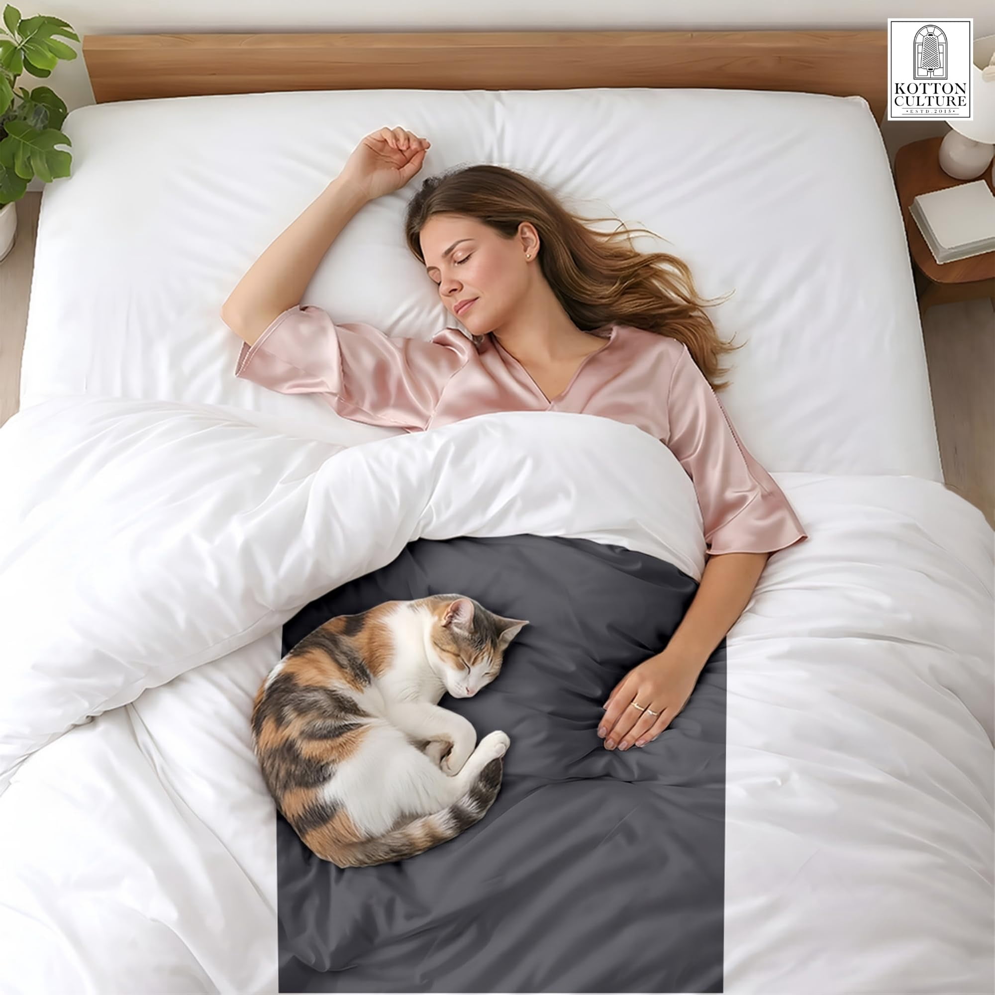Kotton Culture 1 Pc Queen Size Duvet Cover Only -100% Egyptian Cotton 600 TC Ultra Soft Premium Durable Comforter Cover Zipper Closure & Corner Ties (Speared White, Queen/Full 90" X 90")
