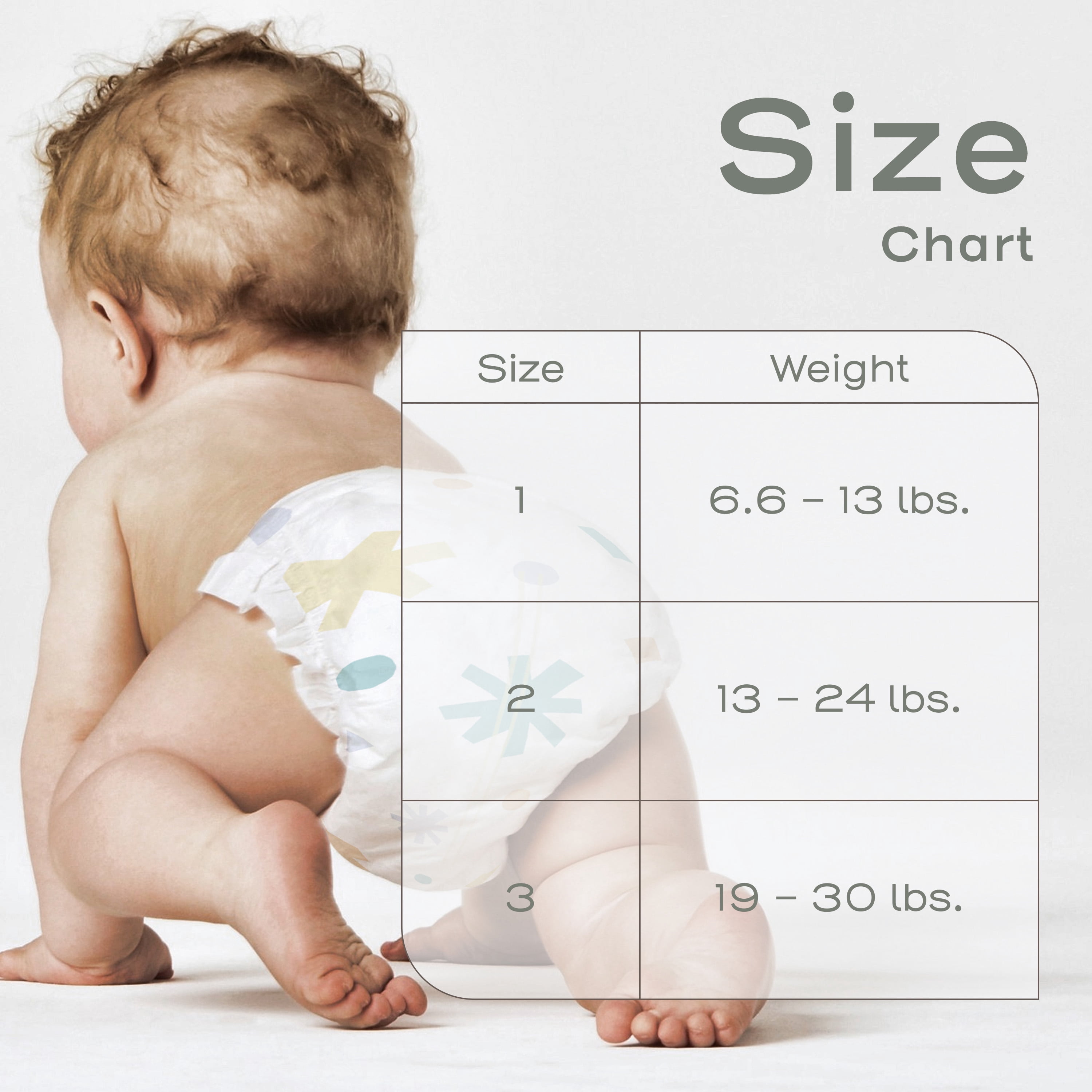 Evolur Snuggle Bum Baby Diapers - Size 2, 200 Count, for Newborns (13 lbs - 24 lbs), Ulta Absorbent Diapers Newborn Baby