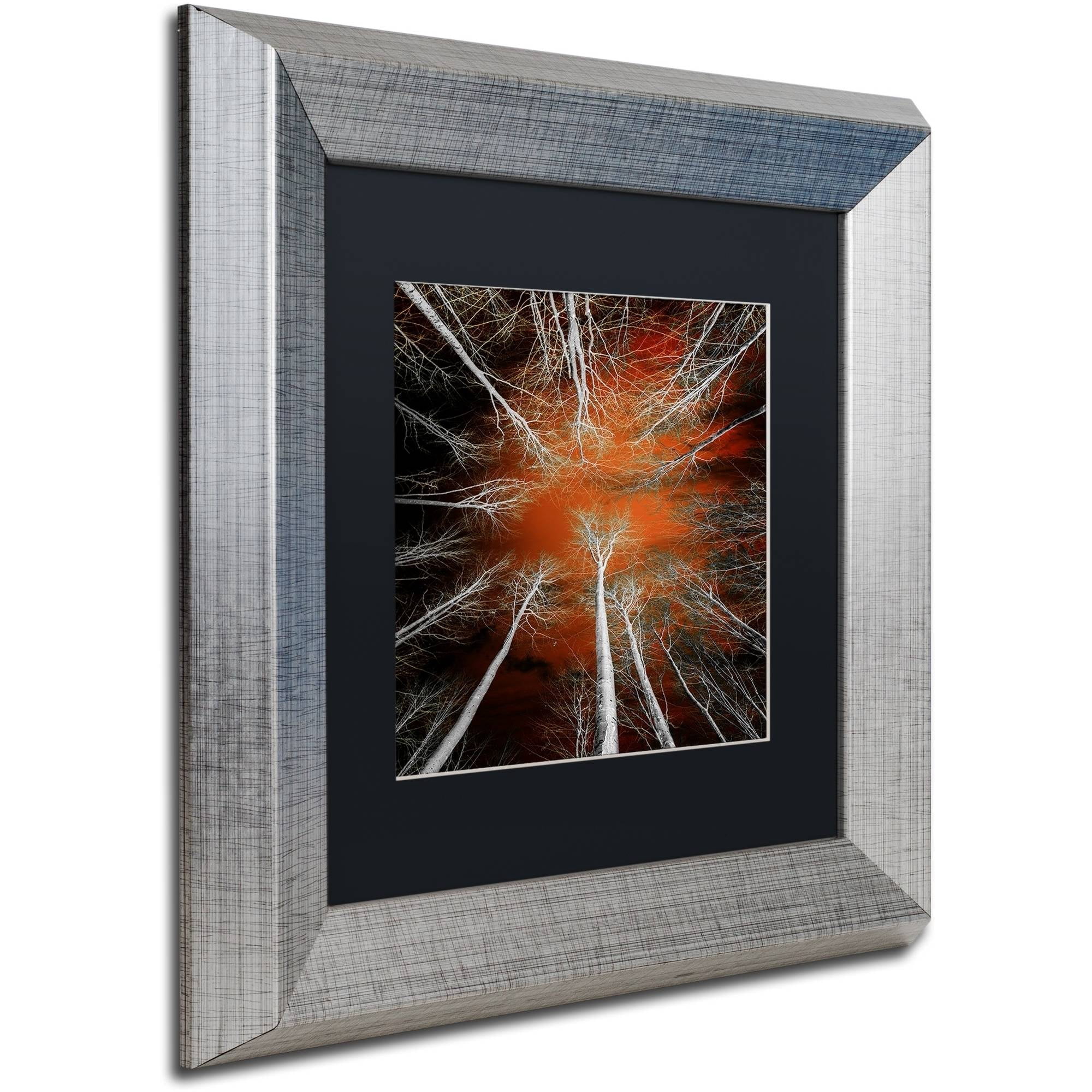 Trademark Fine Art "Something Growing In Me" Canvas Art by Philippe Sainte-Laudy Black Matte, Silver Frame