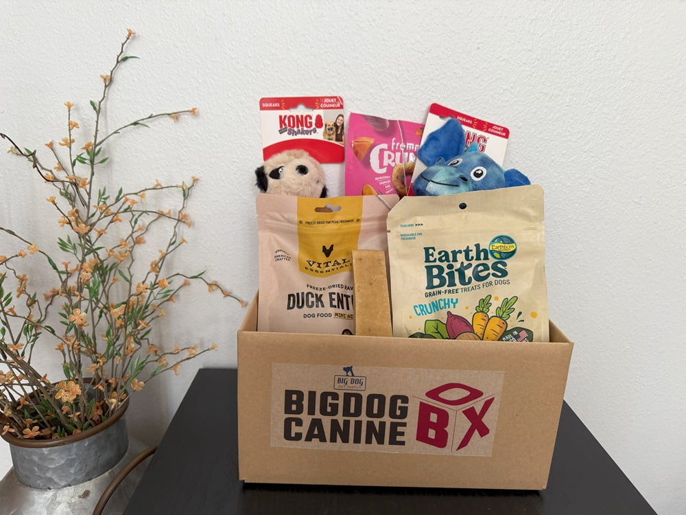 BigDog Canine Box, Treats and Toy Box, Large Dogs