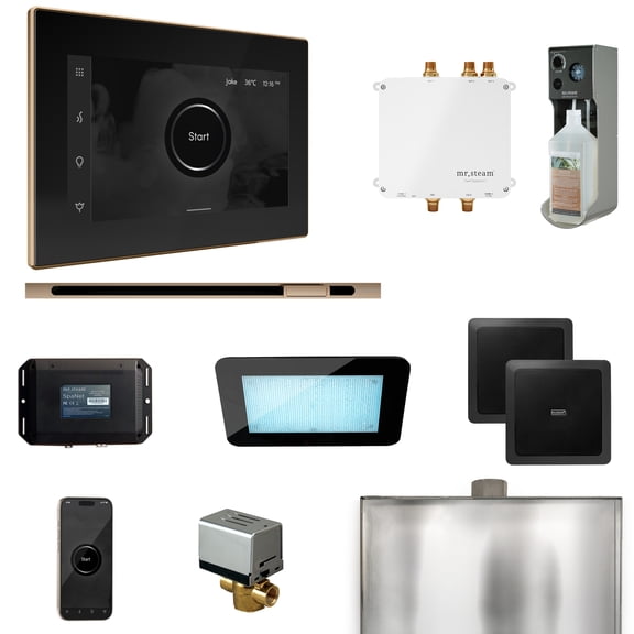 Mr Steam Bliss Steam Shower Ctrl Pkg w/iSteamX Control and Linear Steamhead in Black Polished Gold