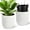 White, variant on Huisuilinss Tall Planter,Outdoor Self Watering Flower Pots With Water Level Monitor,Marble Finish Large Planters For Indoor Plants Living Room Home Office Patio Porch Garden,No Artificial Plant