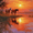 Two Horses Sunset Landscape, variant on Qisvanset Cute Ginger Kitten Sleeping Canvas Wall Art 15.75x11.81 Inches