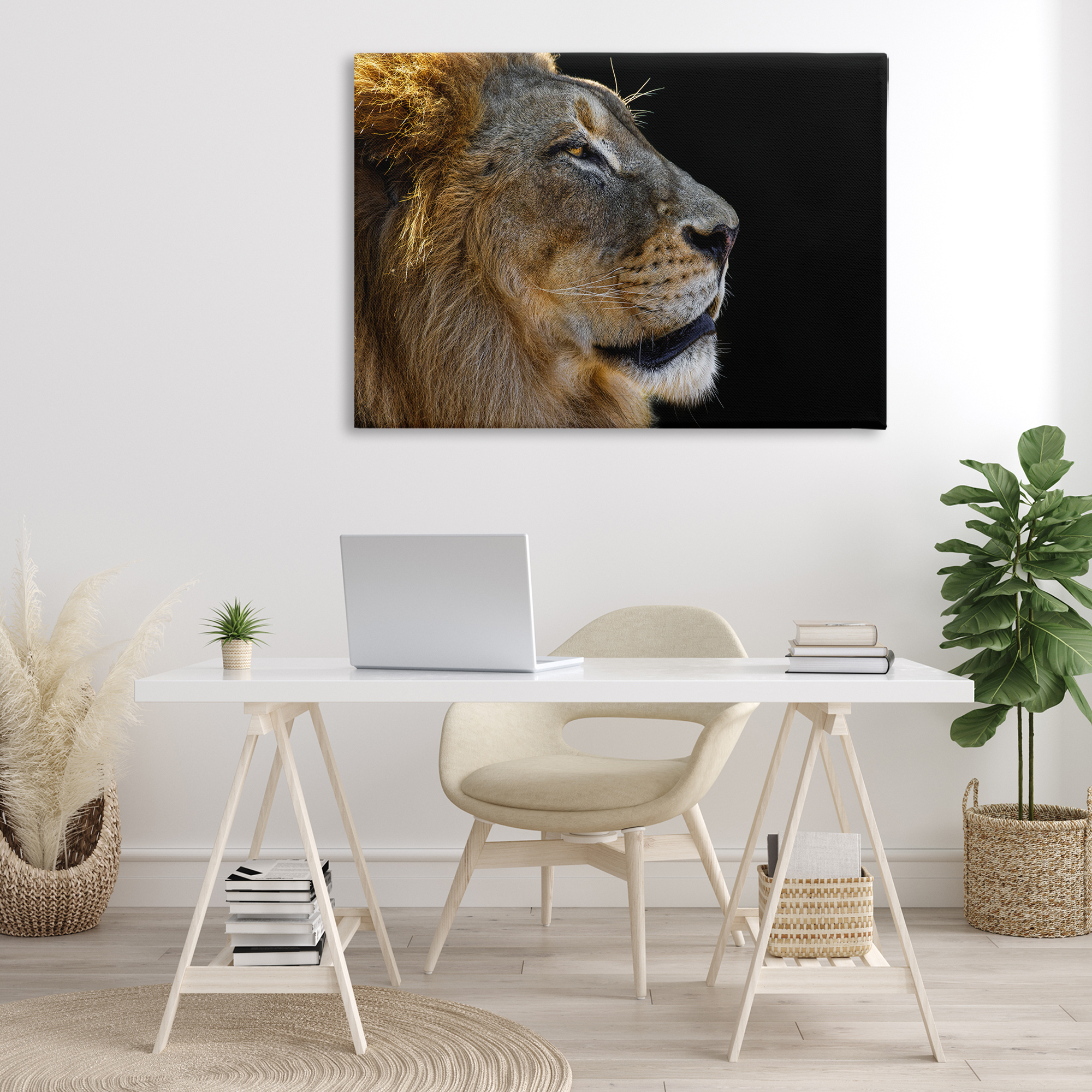 Stupell Industries Fierce Lion Looking Right Animals Photography Wrapped Canvas Art Print Wall Art, 45 x 30