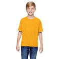 thumbnail image 1 of Jerzees Youth 5.3 oz. DRI-POWER SPORT T-Shirt - 21B, 1 of 1