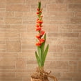 thumbnail image 3 of 46” Gladiolus Artificial Flower (Set of 3) by Nearly Natural, 3 of 4