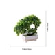 thumbnail image 3 of Flores de simulación multicolor de plantas artificiales en maceta – Pétalos de plástico realistas, forma ajustable, maceta con peso de 20x20cm, disposición decorativa sin mantenimiento para el, 3 of 6