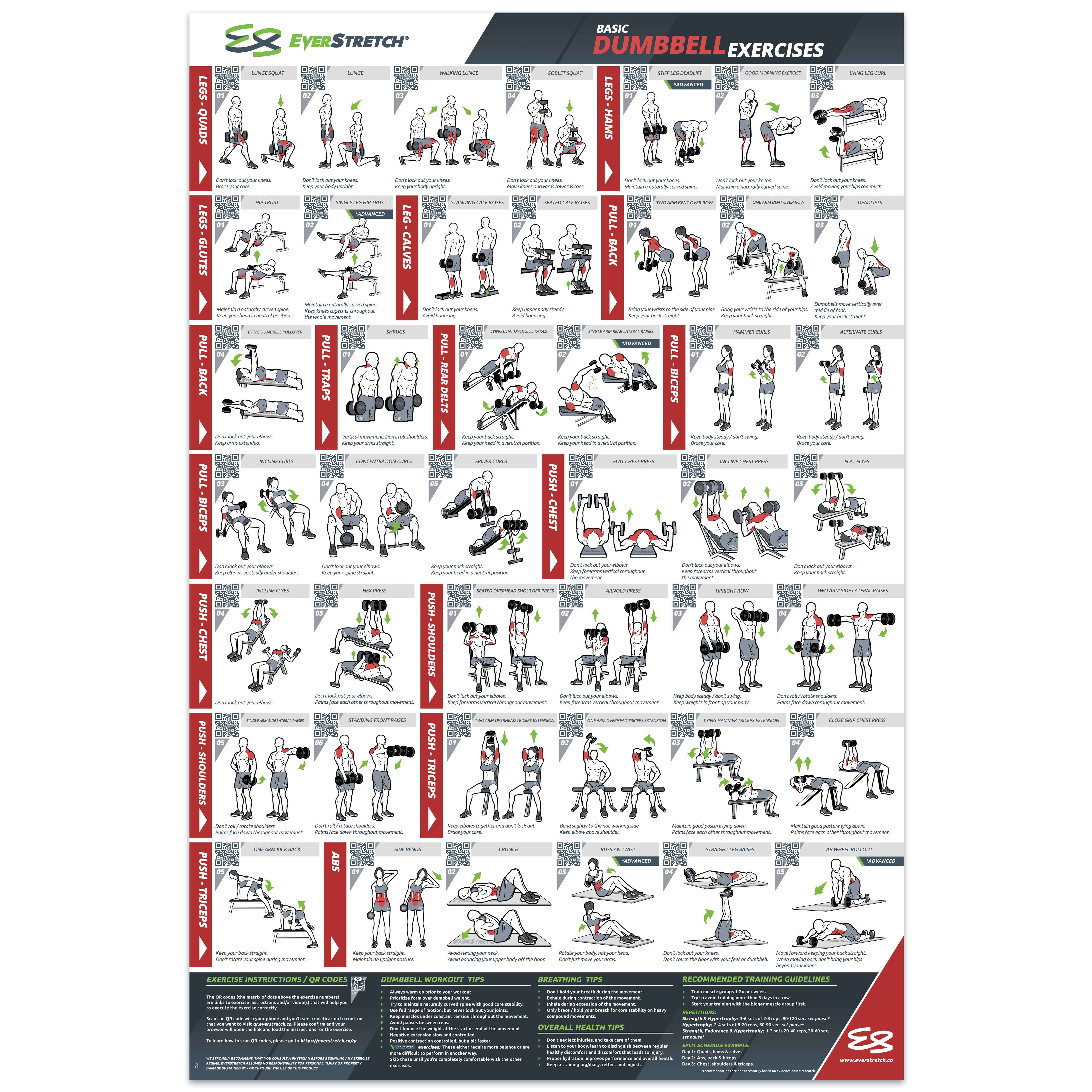 24 x 36 Laminated Workout Poster with 37 Stretching Exercises Each Stretch with Easy to Follow Video Instructions EverStretch Basic Stretching Poster for Home Gym 