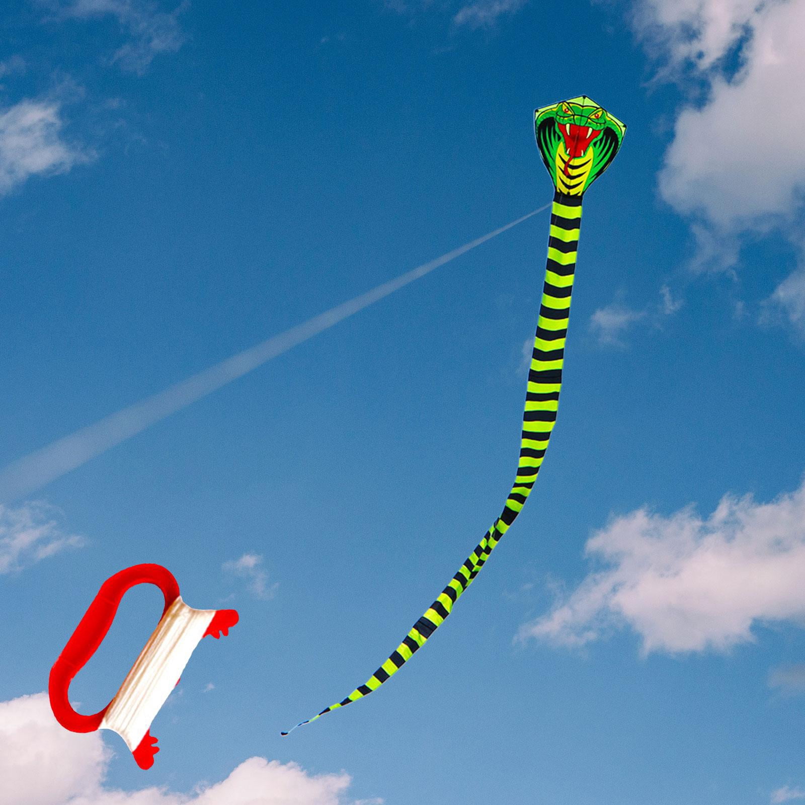 Cerf-Volant Pour Jeux Et Activités De Plein Air Catégorie De Cerf