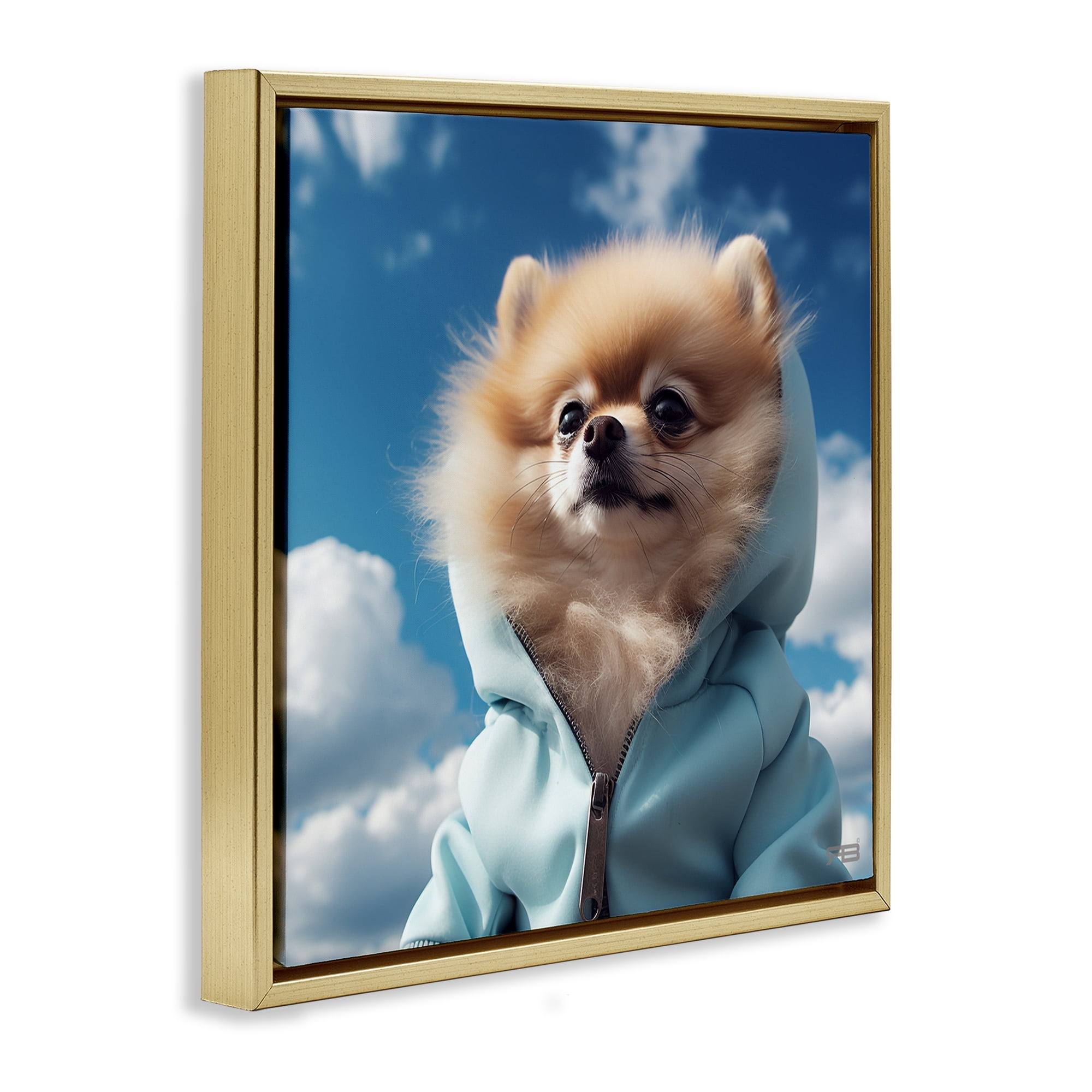 Stupell Industries Pomeranian Dog & Clouds Animals & Insects Painting Gold Floater Framed Canvas Art Print Wall Art, 25 x 25