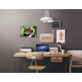 thumbnail image 3 of Red Panda, 3 of 4