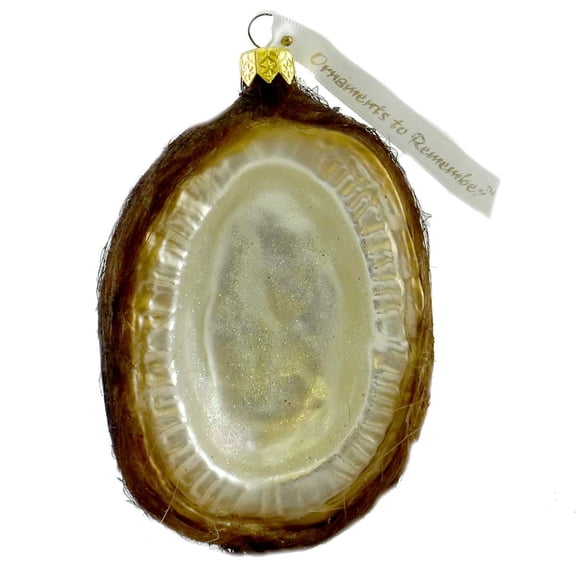 4.75In Coconut, Glass, Fruit Vegetable Palm Tropical 18R2coco12