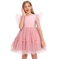 thumbnail image 3 of IBTOM CASTLE Kids Girls Princess Tulle Tutu Dress Flutter Sleeve Star Glitters Rainbow Birthday Party Pageant Summer Dresses 3-4 Years Pink Heart, 3 of 8