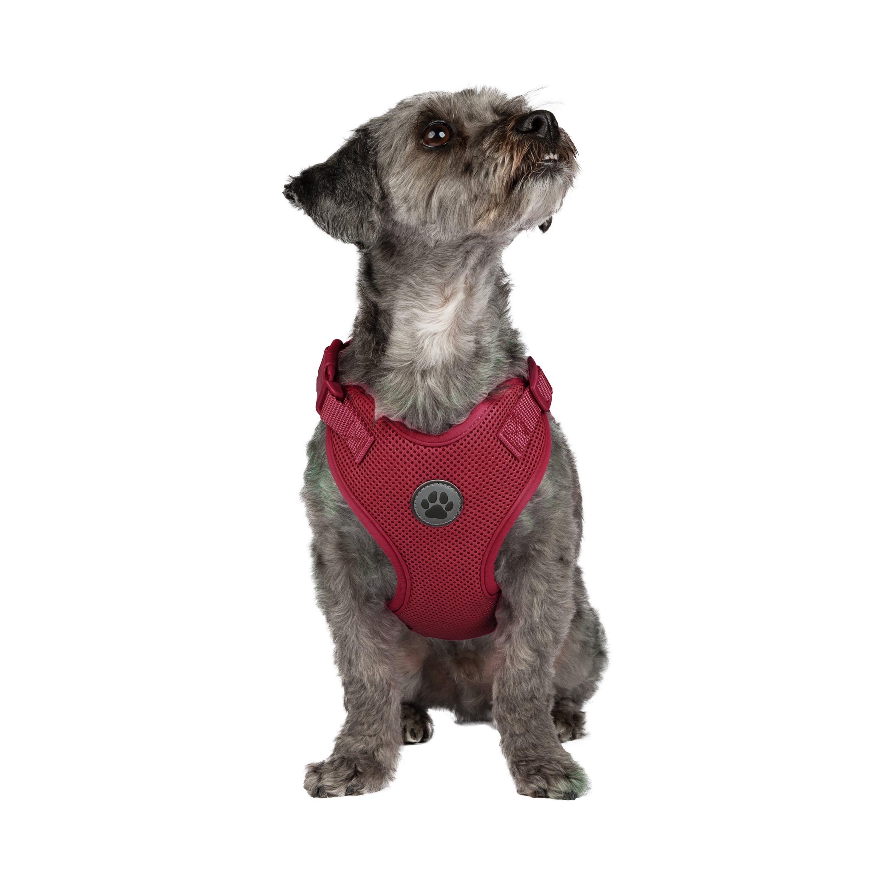 Vibrant Life Polyester Mesh Adjustable and Reflective Dog Walking Harness, Red, S