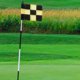 thumbnail image 4 of TABLETREANDS Flag De Golf Resistente A Intemperie Con Estructura Simple Para Prácticas De Precisión Y Mejora, 4 of 6