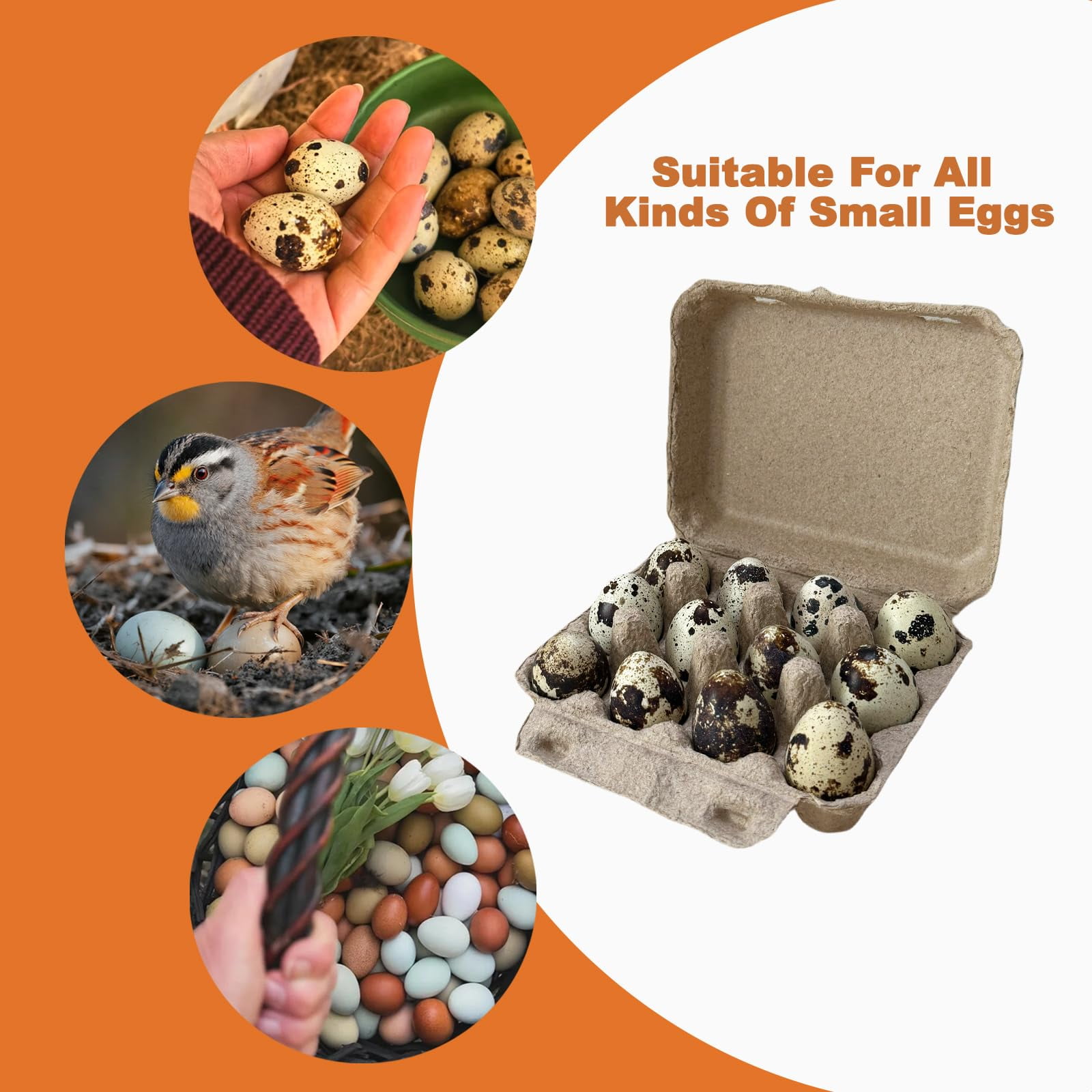 1 Dozen Paper Pulp Small Quail Bird Egg Cartons Cheap Bulk Farm Fresh Eggs hatching Box Tray Basket Countertop Holder Storage Container Reusable Button Quail Supplies 12 Count (50)