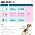 thumbnail image 5 of Pawaboo Dog Harness with Leash Set, X-Frame No Pull Pet Harness, Adjustable Choke Free Dog Vest Harness for Small Medium Dogs & Puppies, Breathable Puppy Vest with Leash for Walking Outing (S, Blue), 5 of 8