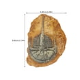 thumbnail image 2 of Miangastore Creative Resin Reptile Box Decor for DIY Light Brown Ornament 2Pcs, 2 of 8