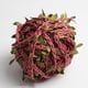 thumbnail image 5 of 20 Metros Mimbre de Plantas Hojas para Puerta Naviadad, Nupcias Ornamneto de Pared Rosa Gloria Guirnalda artificial de la hoja de la hoja, 5 of 9