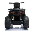 thumbnail image 4 of KidsVIP Titan Edition 24V Kids Ride On ATV/Quad pour enfants, 4 of 5