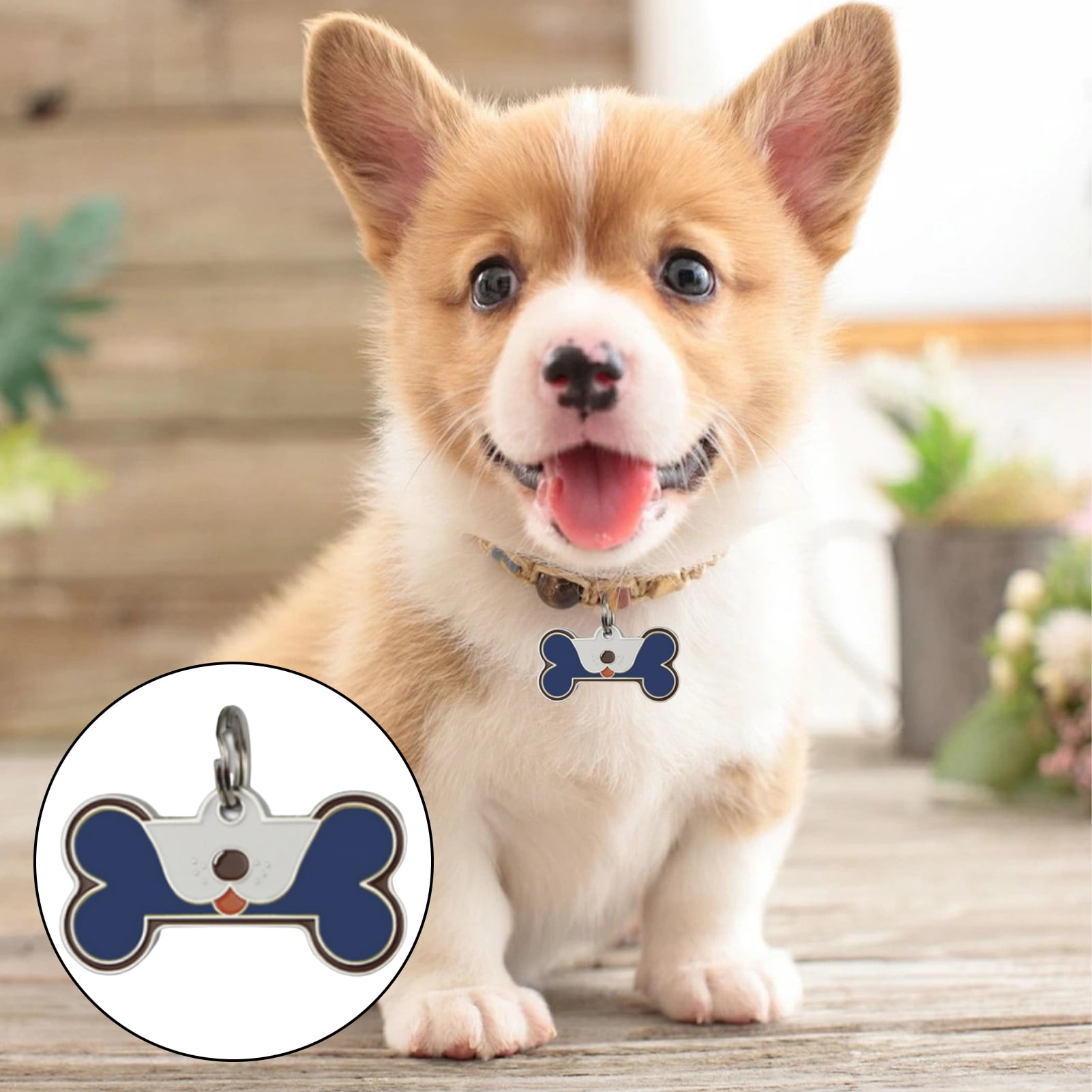 Dog collar name tag online