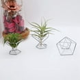 thumbnail image 2 of Trjgtas Pack 5 Air Plant Holder Air Plants Holders Tillandsias Display Air Purifying Plant Container Air Fern Stand, Silver, 2 of 5