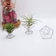thumbnail image 2 of Paquete 5 Titular de la Planta de Aire Titulares de Plantas de Aire ExhibicióN de Tillandsias Contenedor de Planta Purificadora de Aire Soporte de Helecho de Aire, Plateado, 2 of 6