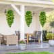 thumbnail image 5 of Flores colgantes artificiales BLEUM CADE Pothos Vines, 2 unidades, amarillas, 5 of 7