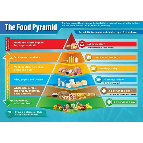 Food Pyramid Science Poster