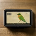 thumbnail image 6 of Atomos Shinobi II 5-Inch HDMI 4K Monitor Bundle with Creator Kit (2 Items), 6 of 7