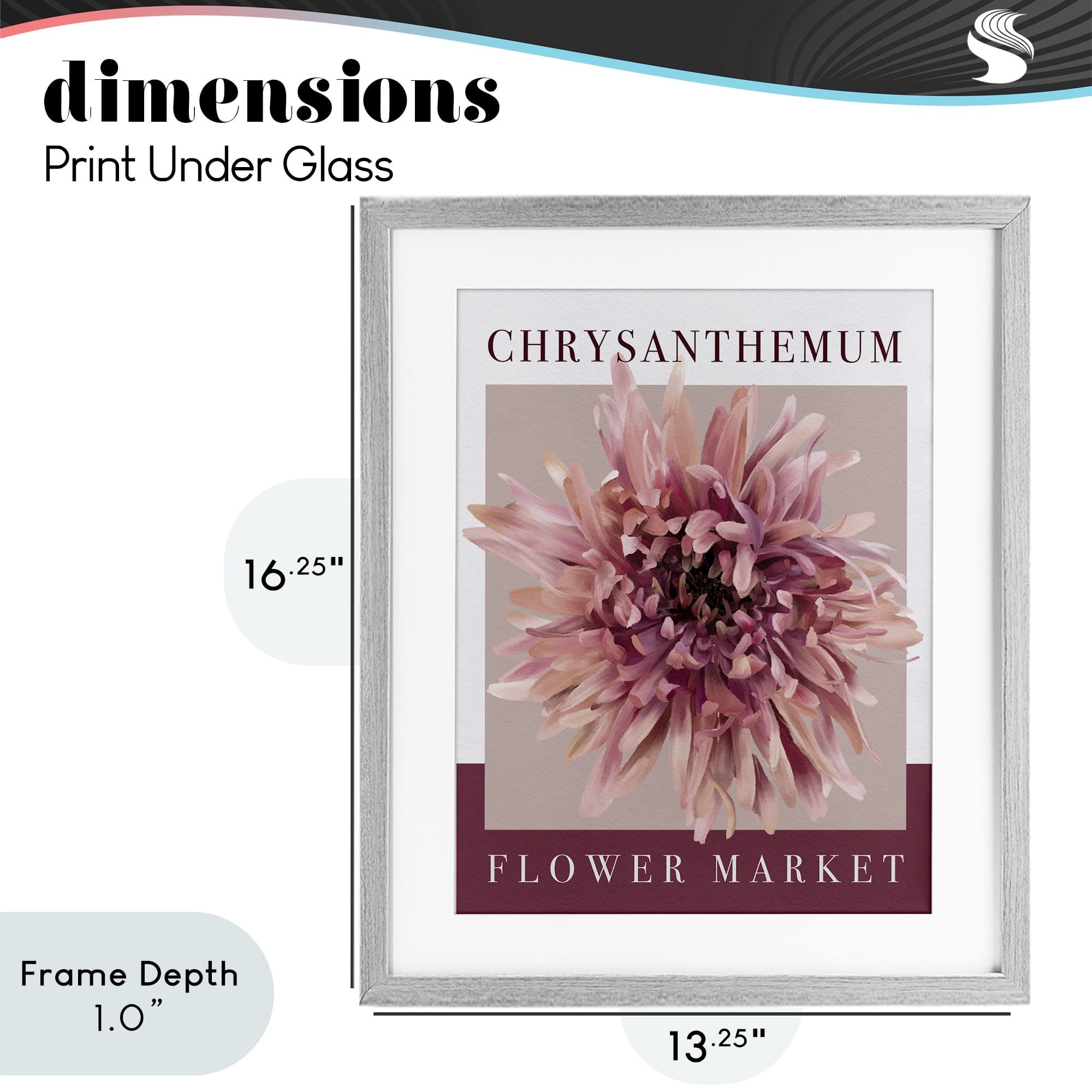 Stupell Industries Chrysanthemum Flower Market Gray Framed Print Under Glass, design by Jennifer Stith